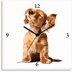 Wanduhr ARTLAND Junger Hund hört Musik über Kopfhörer Wanduhren Gr. B/H/T: 30 cm x 30 cm x 1,7 cm, Quarzuhr, weiß Wanduhren wahlweise mit Quarz- oder Funhuhrwerk, lautlos ohne Tickgeräusche