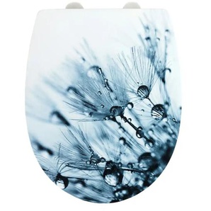 WC Sitz | Kunststoff | 36,5 cm | cm 45,0 |