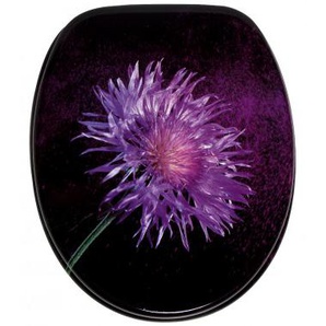 WC-Sitz mit Absenkautomatik Purple Dust - Premium Toilettendeckel direkt vom Hersteller