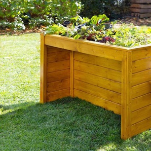 weka Hochbeet aus massivem nordischem Fichtenholz, farblich lasiert, unterfahrbar für Rollstuhlfahrer, BxTxH: 124x75x80 cm