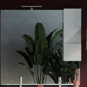 welltime Spiegelschrank Dama Badspiegelschrank mit 1 Tür, inkl. Beleuchtung LED, Breite 120