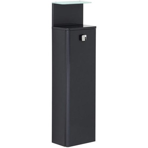 Welnova Midischrank , Anthrazit , Glas , 2 Fächer , 30x111x18 cm , Made in Germany , Typenauswahl, hängend , Badezimmer, Badezimmerschränke, Midischränke