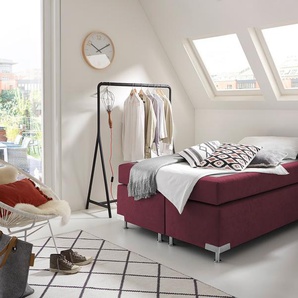 Boxspringbett WESTFALIA SCHLAFKOMFORT Holland Komplettbetten Gr. Microvelours Kaltschaum-Topper, Liegefläche B/L: 140 cm x 200 cm, Gewicht bis: 100 kg H3, 5-Zonen-Tonnentaschen-Federkernmatratze, rot (bordeaux, rot) Boxspringbetten ohne Bettkasten