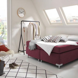 Boxspringbett WESTFALIA SCHLAFKOMFORT Holland Komplettbetten Gr. Microvelours Kaltschaum-Topper, Liegefläche B/L: 180 cm x 200 cm, Gewicht bis: 100 kg H3, 5-Zonen-Tonnentaschen-Federkernmatratze, rot (bordeaux, rot) Boxspringbetten ohne Bettkasten
