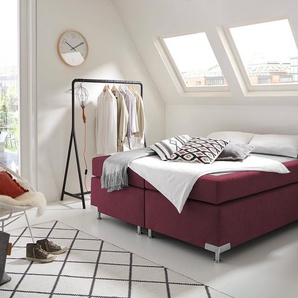 Boxspringbett WESTFALIA SCHLAFKOMFORT Holland Komplettbetten Gr. Microvelours Kaltschaum-Topper, Liegefläche B/L: 200 cm x 200 cm, Gewicht bis: 80 kg H2, 7-Zonen-Kaltschaummatratze, rot (bordeaux, rot) Boxspringbetten ohne Bettkasten Komplettbetten