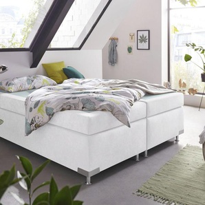 Boxspringbett WESTFALIA SCHLAFKOMFORT Holland Komplettbetten Gr. Microvelours Kaltschaum-Topper, Liegefläche B/L: 200 cm x 200 cm, Gewicht bis: 80 kg H2, 7-Zonen-Kaltschaummatratze, weiß Boxspringbetten ohne Bettkasten Komplettbetten Kopfteil, frei im