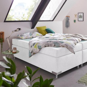 Boxspringbett WESTFALIA SCHLAFKOMFORT Holland Komplettbetten Gr. Microvelours Ohne Topper, Liegefläche B/L: 200 cm x 200 cm, Gewicht bis: 100 kg H3, 5-Zonen-Tonnentaschen-Federkernmatratze, weiß Boxspringbetten ohne Bettkasten Komplettbetten Kopfteil,