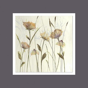 Wiedemann Bild Wilder Mohn, Mehrfarbig, Metall, Kunststoff, quadratisch, 50x50 cm, Bilder