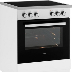 wiho Küchen Herdumbauschrank Husum 60 cm breit