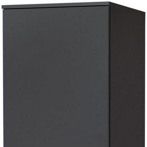 wiho Küchen Seitenschrank Michigan
