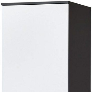 wiho Küchen Seitenschrank Michigan