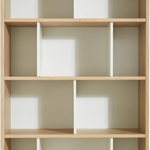 Wimex Standregal »Joker«, Bücherregal, Mehrzweckregal mit vielen Fächern, 198cm hoch, 90cm breit