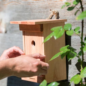 WINDHAGER Nistkasten Birdy Tierhäuser beige (natur) Futterhäuser -stationen