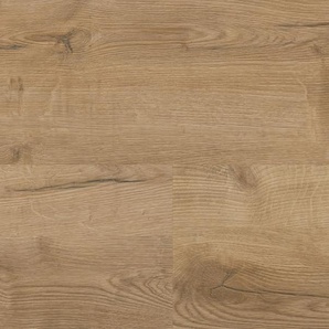 wineo 400 Multi-Layer wood XL - MLD291WXL Comfort Oak Nature
