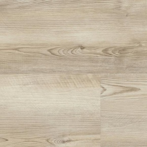 wineo 400 wood L - DB280WL Coast Pine Greige