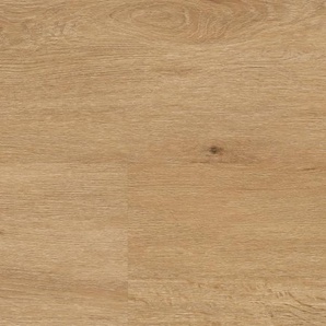 wineo 400 wood XL - DB294WXL Country Oak Nature