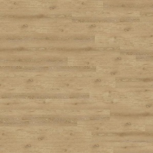 wineo 800 wood L - DB817WL Trondheim Oak Brown