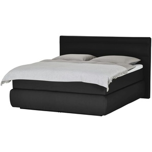 Wohnwert Boxspringbett   Dormian Bolge High ¦ schwarz ¦ Maße (cm): B: 160 H: 122