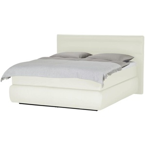 Wohnwert Boxspringbett   Dormian Bolge High ¦ weiß ¦ Maße (cm): B: 160 H: 122