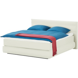 Wohnwert Boxspringbett  Dormian Bolge Low ¦ weiß ¦ Maße (cm): B: 160 H: 102
