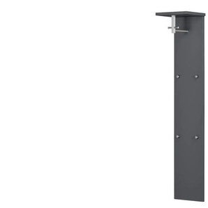 Wohnwert Garderobenpaneel  Nicolo ¦ grau ¦ MDF-Platte ¦ Maße (cm): B: 33 H: 167 T: 31.0