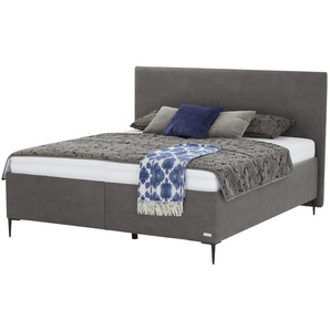 Wohnwert Polsterbett  Tauris 2.0 ¦ grau ¦ Maße (cm): B: 190 H: 120