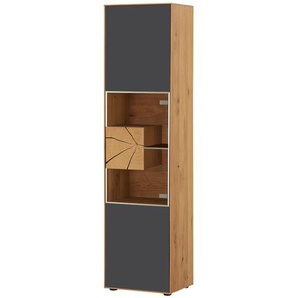 HARTMANN Vitrine  Caya ¦ grau ¦ Maße (cm): B: 50 H: 196 T: 39.0