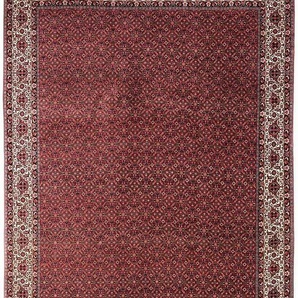 Wollteppich Bidjar Takab Stark Gemustert Rosso 343 x 251 cm, morgenland, rechteckig, Höhe: 13 mm, Unikat mit Zertifikat