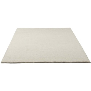 Wollteppich HOME AFFAIRE Mohan Teppiche Gr. B/L: 250 cm x 350 cm, 25 mm, 1 St., beige (natur weiß) Schurwollteppiche