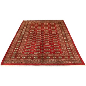Wollteppich MORGENLAND Buchara Teppich handgeknüpft rot Teppiche Gr. B/L: 149 cm x 223 cm, 7 mm, 3,32 m², 1 St., rot Schurwollteppiche