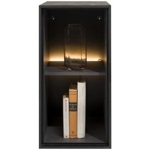 Xooon Elements Box 60x30cm 2-Nischen/Led