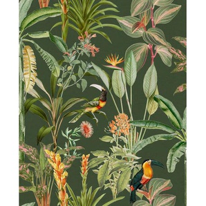 Xora Vliestapete, Grün, Kunststoff, Papier, Blätter, 52x1005 cm, Made in Europe, Tapeten & Wandverkleidungen, Vliestapeten