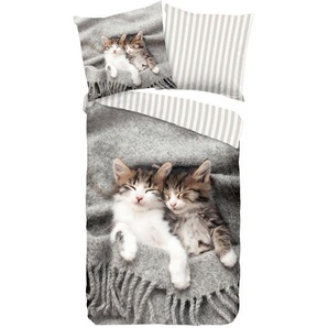 Xxxl Jugendbettwäsche Snooze, Grau, Textil, Katze, 135x200 cm, bügelleicht, Schlaftextilien, Bettwäsche, Kinderbettwäsche