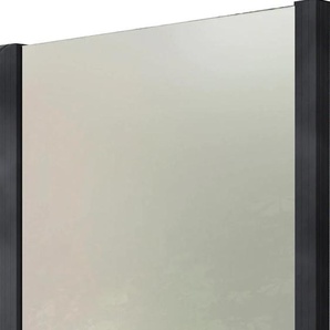 Zaun Zaunelemente Glaszaun, Gesamtlänge: 1,14 m, 2 Pfosten Gr. L: 1,14 m, grau (anthrazit) Zaunelemente
